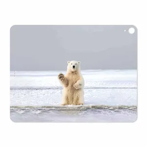 MAHOOT Polar bear Cover Sticker for Apple iPad Pro 12.9 GEN 3 2018 A1876