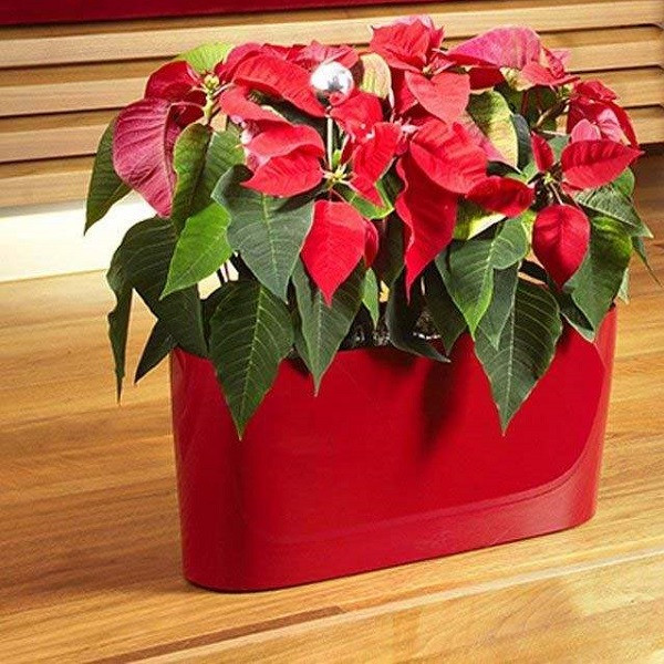 گلدان خودآبیار مدل G-H