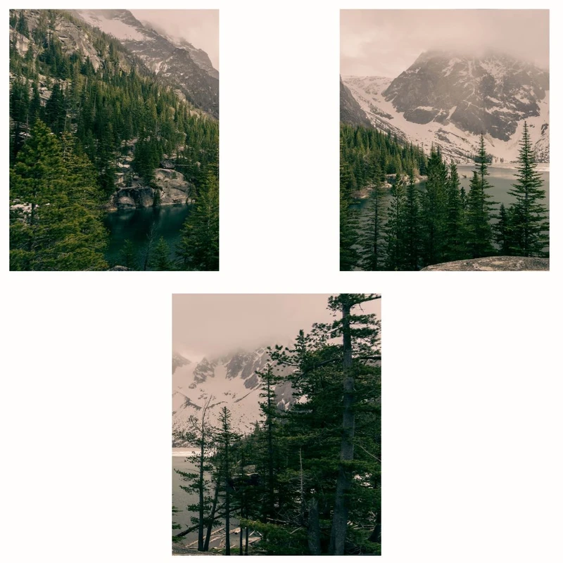 پوستر مدل مستر جنگلی -چاپ دریاچه مجموعه 3 عددی