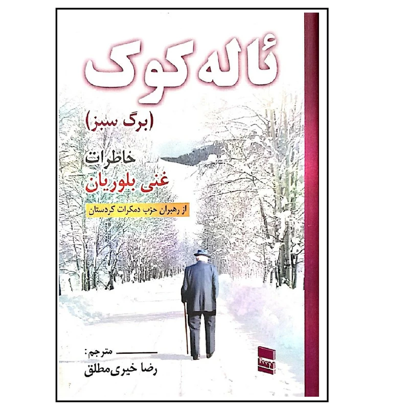 کتاب ئاله کوک اثر غنی بلوریان انتشارات رسا