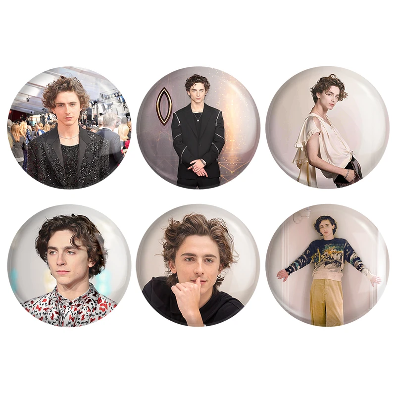 مگنت خندالو طرح تیموتی شالامی Timothée Chalamet کد 1108A مجموعه 6 عددی