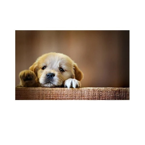    پادری طرح حیوانات کد M35M001-MA0063 سایز 76x46 سانتی متر