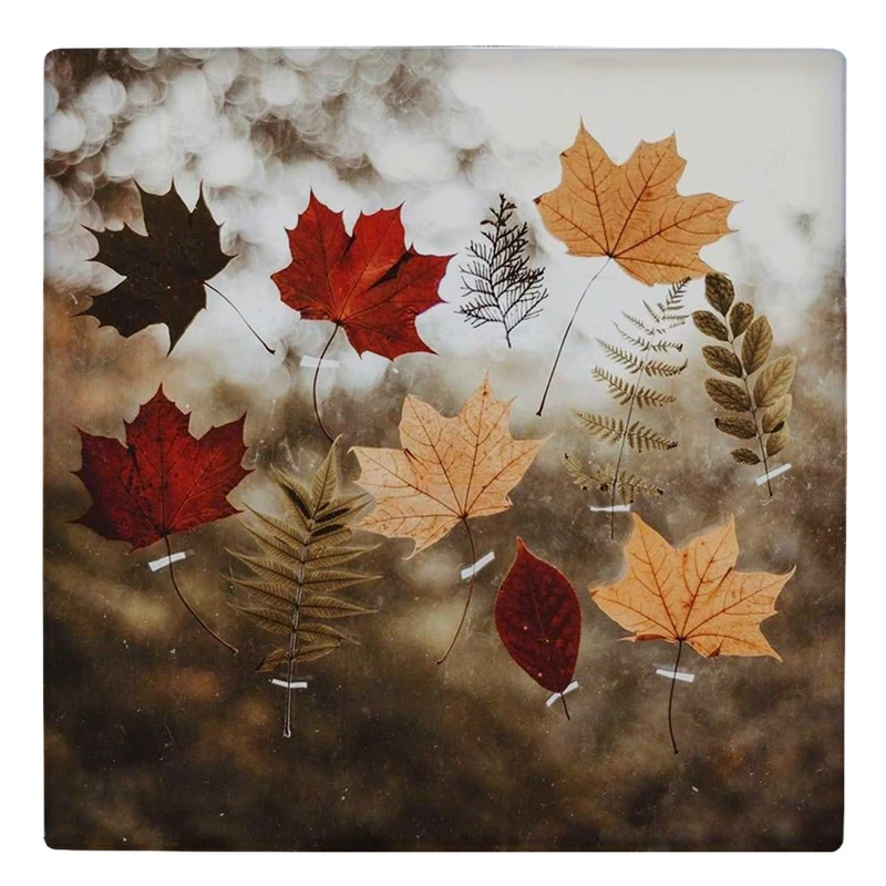 زیر لیوانی  طرح برگ های پاییزی کد    5353867_3935