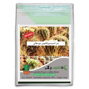 بذر آنسیستروکاکتوس تیغ طلائی کاکتوسچی مدل AM-067
