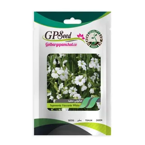 بذر گیاه دارویی صابونی سفید گلبرگ پامچال کد GPF-339