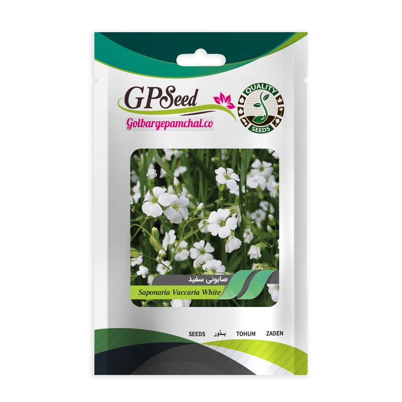 بذر گیاه دارویی صابونی سفید گلبرگ پامچال کد GPF-339