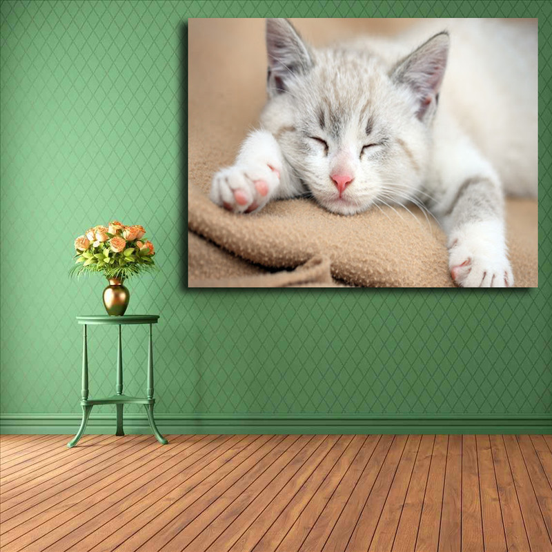 تابلو شاسی مدل گربه کد 24