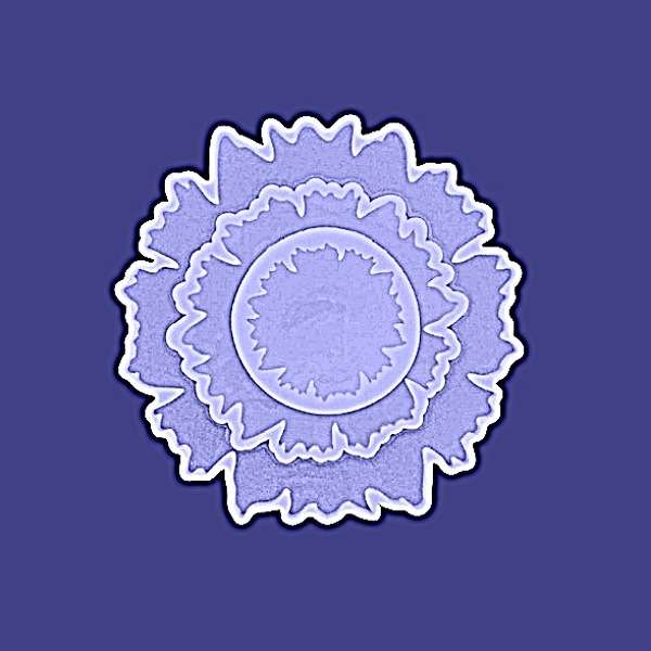 قالب رزین اپوکسی مدل کنگره بسته 3عددی