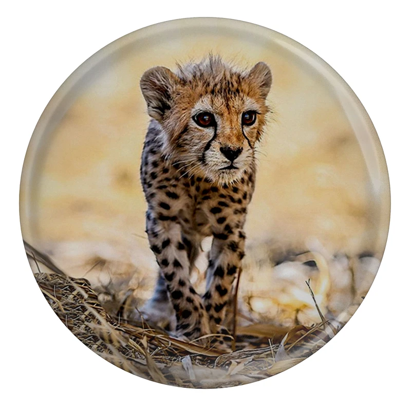 پیکسل مدل S12705 طرح پیروز یوزپلنگ ایران