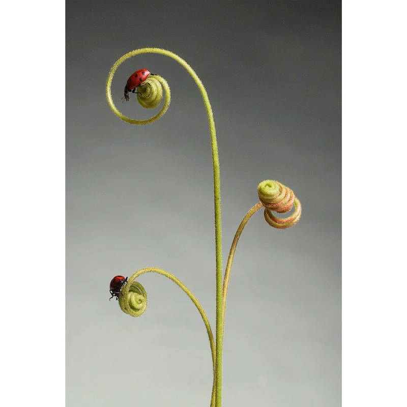 تابلو شاسی مدل کفشدوزک و گیاه T5888