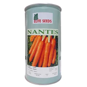 بذر هویج الیت سیدز مدل NANTES