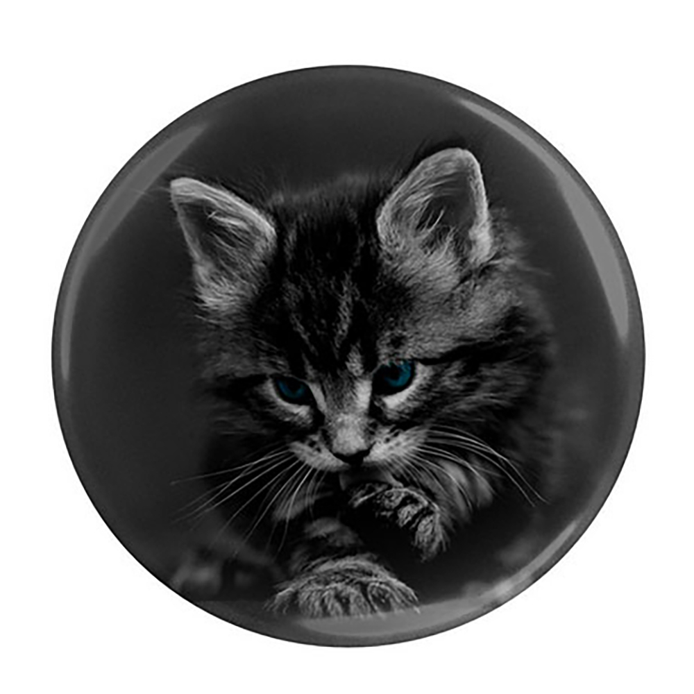 پیکسل مدل گربه ملوس کد Asp383