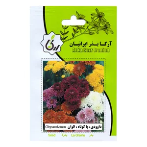 بذر  داوودی پا کوتاه الوان آرکا بذر ایرانیان مدل C73
