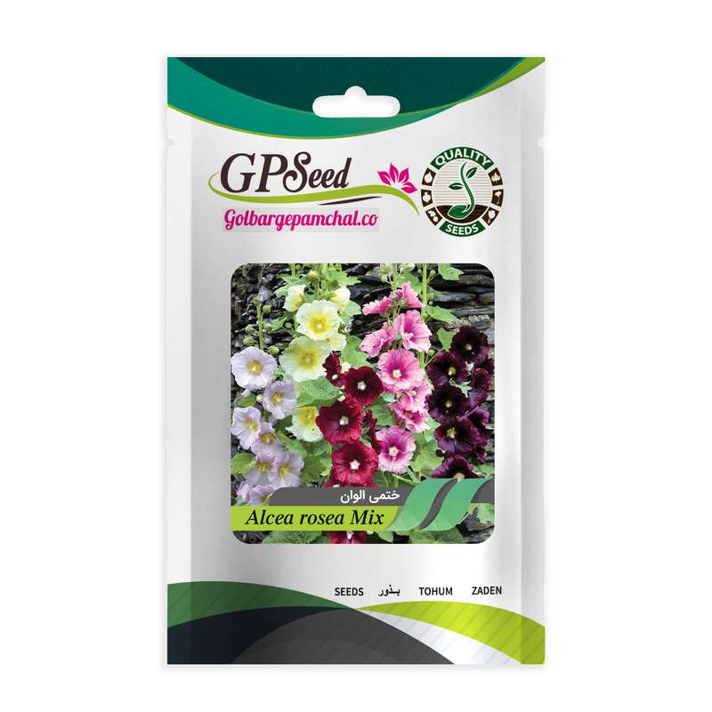 بذر گیاه دارویی گل ختمی الوان گلبرگ پامچال کد GPF-279