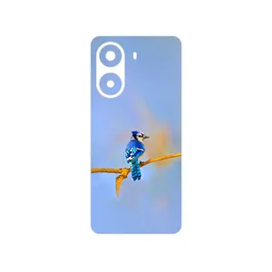 MAHOOT Cyanocitta cristata Cover Sticker for Xiaomi Poco X7 Pro