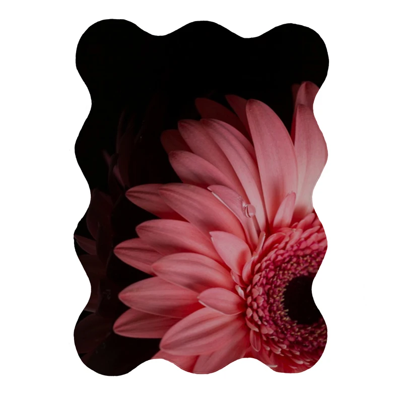 پادری مدل دالبر طرح گل کد 8098 سایز 80x110 سانتی متر 