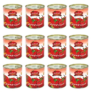 رب گوجه فرنگی غلیظ ضامن - 800 گرم بسته 12 عددی