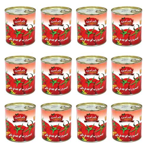 رب گوجه فرنگی غلیظ ضامن - 800 گرم بسته 12 عددی
