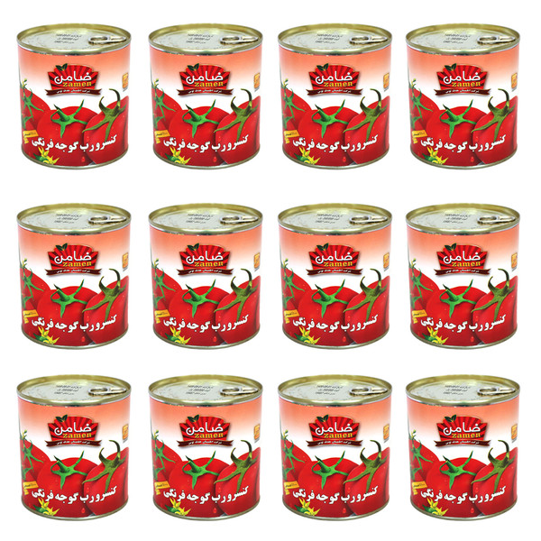 رب گوجه فرنگی غلیظ ضامن - 800 گرم بسته 12 عددی