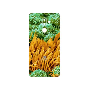 MAHOOT Atom Universe 6 Cover Sticker for Nokia 7 Plus