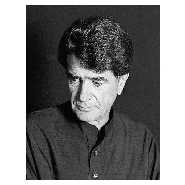 تابلو شاسی طرح محمدرضا شجریان کد 0014