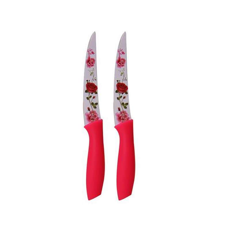 چاقو کد 0065 بسته 2 عددی