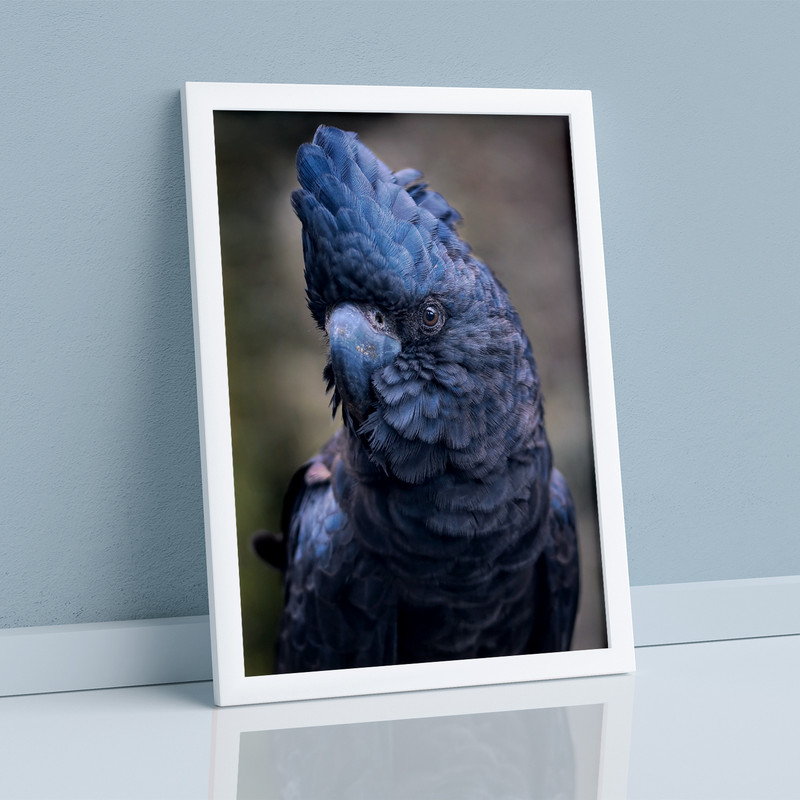 تابلو مدل دیواری طرح پرنده طوطی کد EA-1143