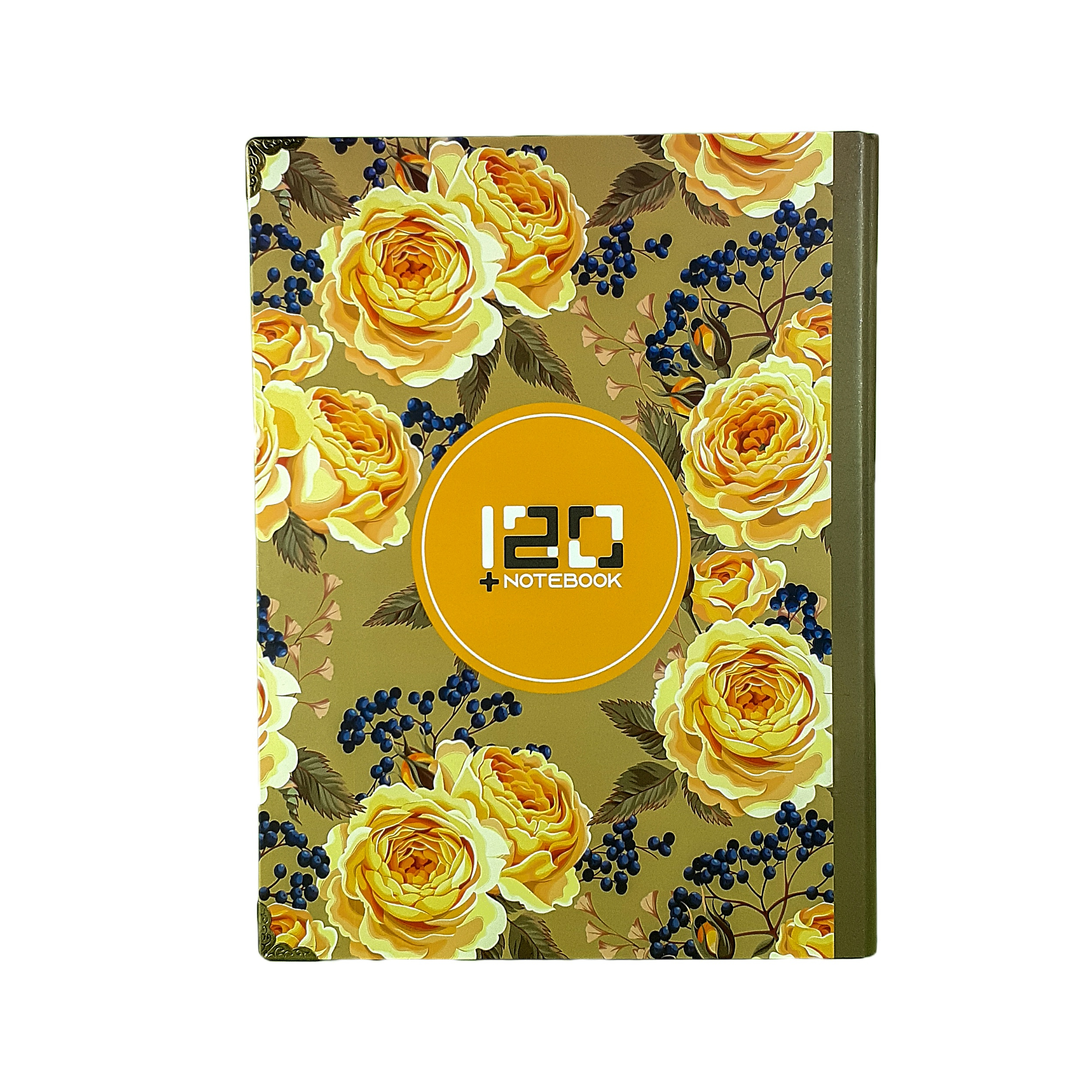 کلاسور 120 کد Cl4_103