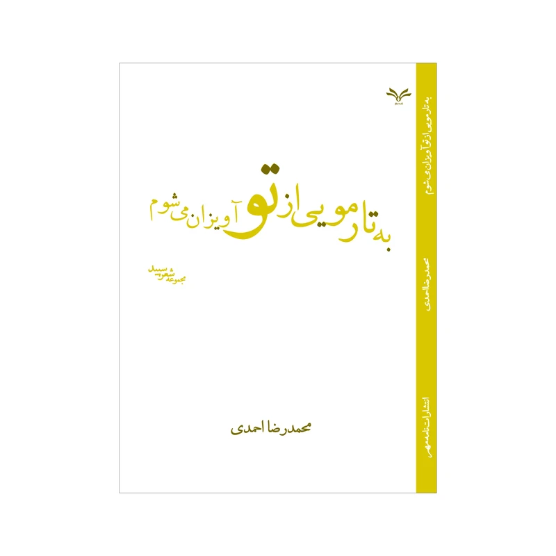 کتاب به تار مویی از تو آویزان می شوم اثر محمدرضا احمدی نشر نامه مهر