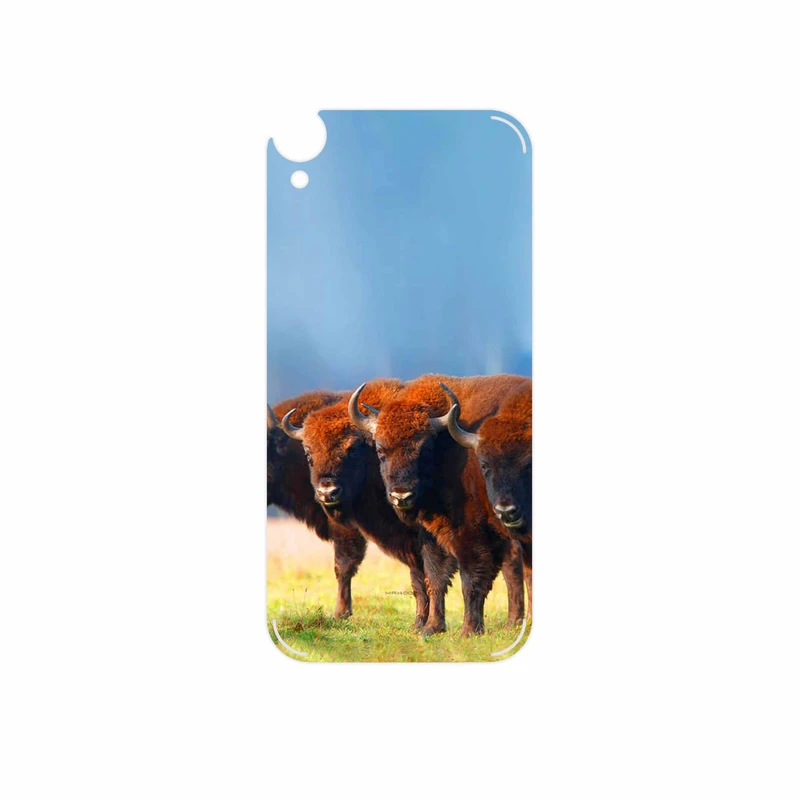 برچسب پوششی ماهوت مدل Buffalo مناسب برای گوشی موبایل اچ تی سی Desire 820