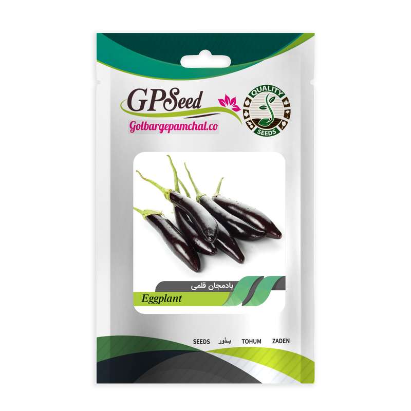 بذر بادمجان قلمی گلبرگ پامچال کد GPF-103