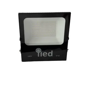 پروژکتور 100 وات آیلد مدل FSK 100