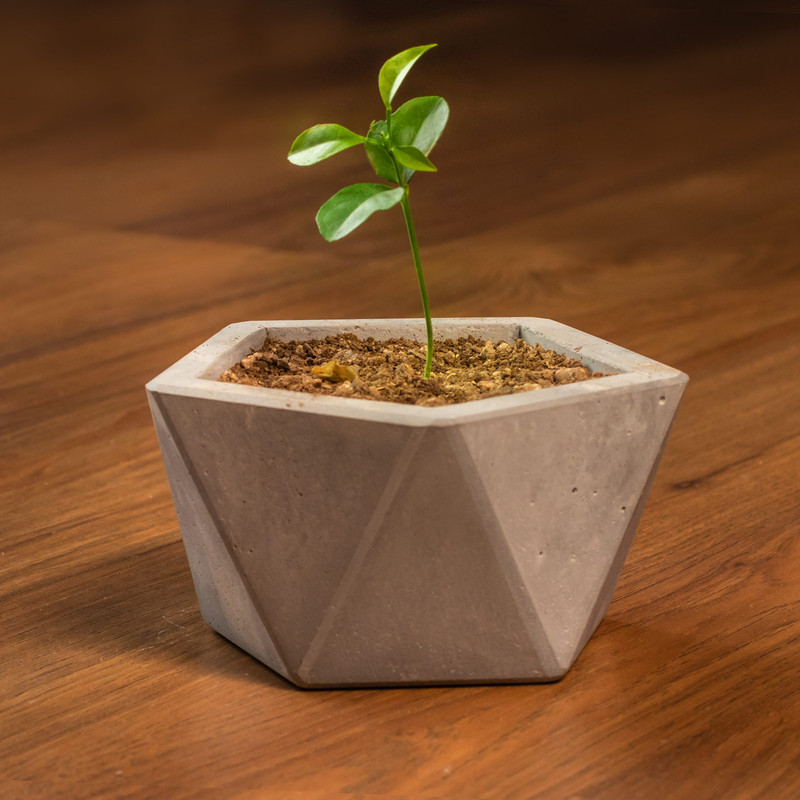 گلدان مدل c66