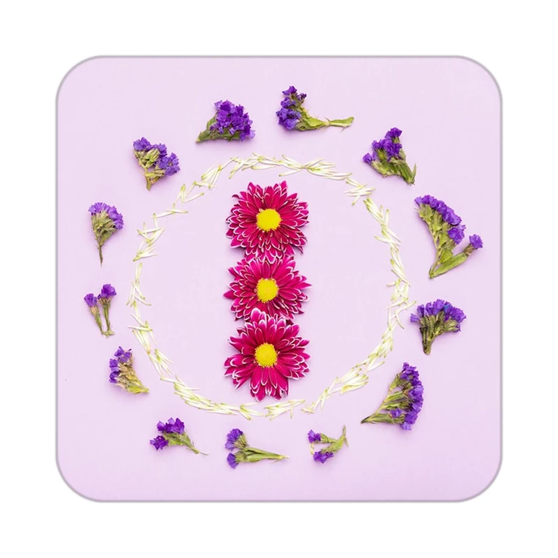 زیر لیوانی کاکتی طرح گل مدل mp16911