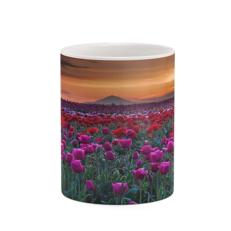 ماگ کاکتی مدل منظره کد mgh18360