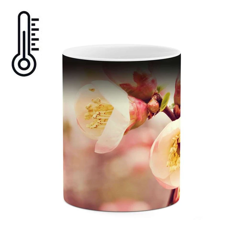 ماگ حرارتی کاکتی مدل شکوفه گل کد mgh12077