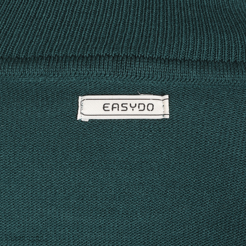 پلیور یقه اسکی مردانه ایزی دو مدل 2010004101706