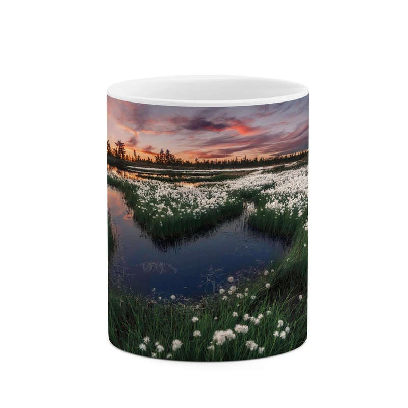 ماگ کاکتی مدل منظره کد mgh17776