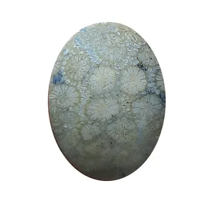 سنگ مرجان کد mr5