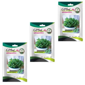 بذر پونه گلبرگ پامچال کد GPF-303 مجموعه 3 عددی