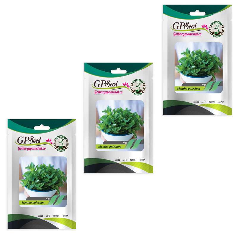 بذر پونه گلبرگ پامچال کد GPF-303 مجموعه 3 عددی