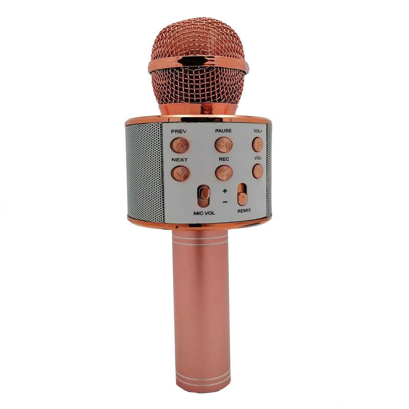 میکروفون اسپیکر مدل WS-858