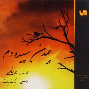 کتاب صوتی چیدن سپیده دم اثر احمد شاملو