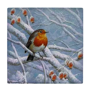زیر لیوانی  طرح نقاشی پرنده روی شاخه برفی کد    6104466_5311