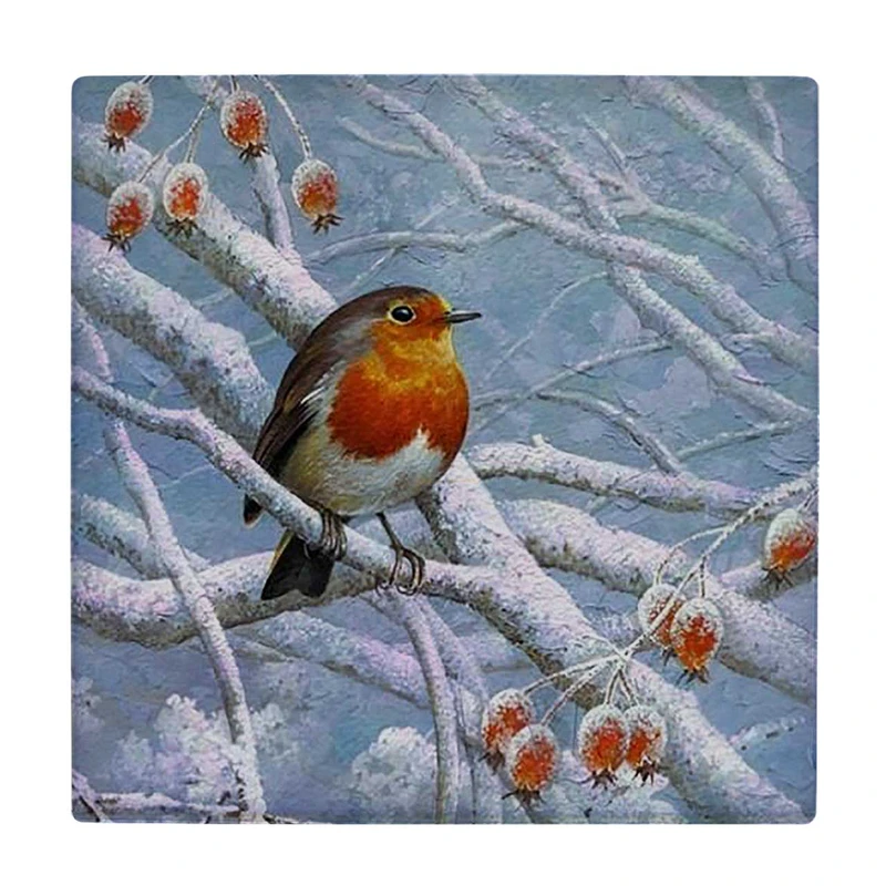 زیر لیوانی  طرح نقاشی پرنده روی شاخه برفی کد    6104466_5311