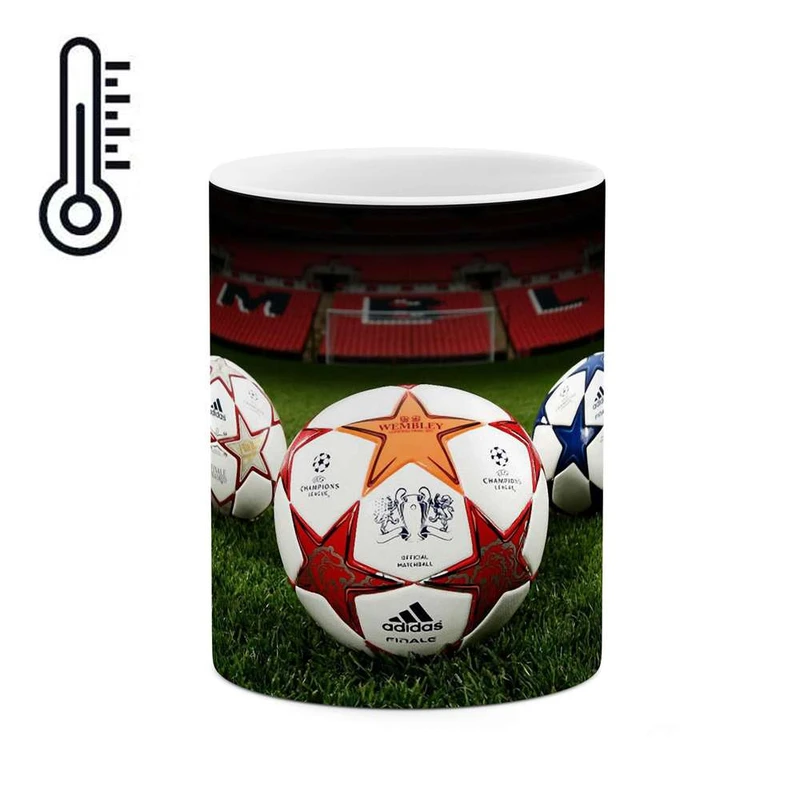 ماگ حرارتی کاکتی مدل توپ فوتبال کد mgh10416