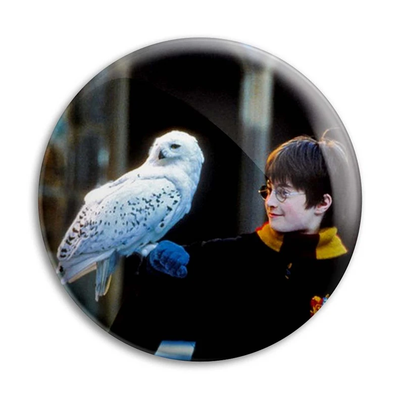مگنت پرمانه طرح Harry Potter کد pmag.23966