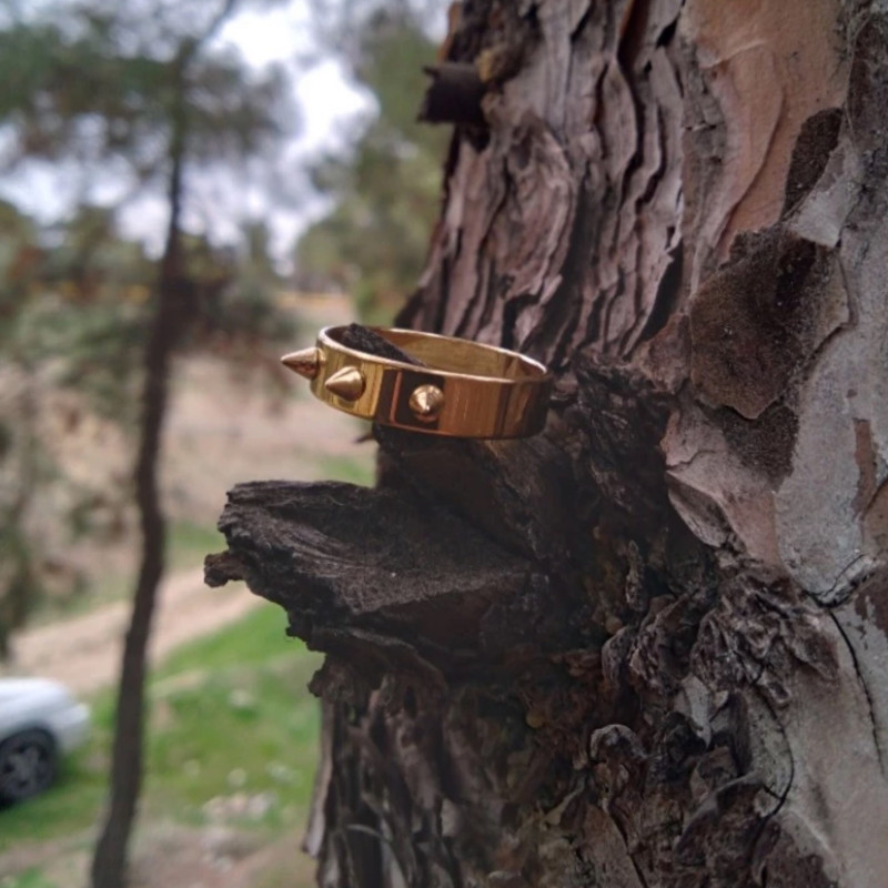 انگشتر مردانه مدل Epicure