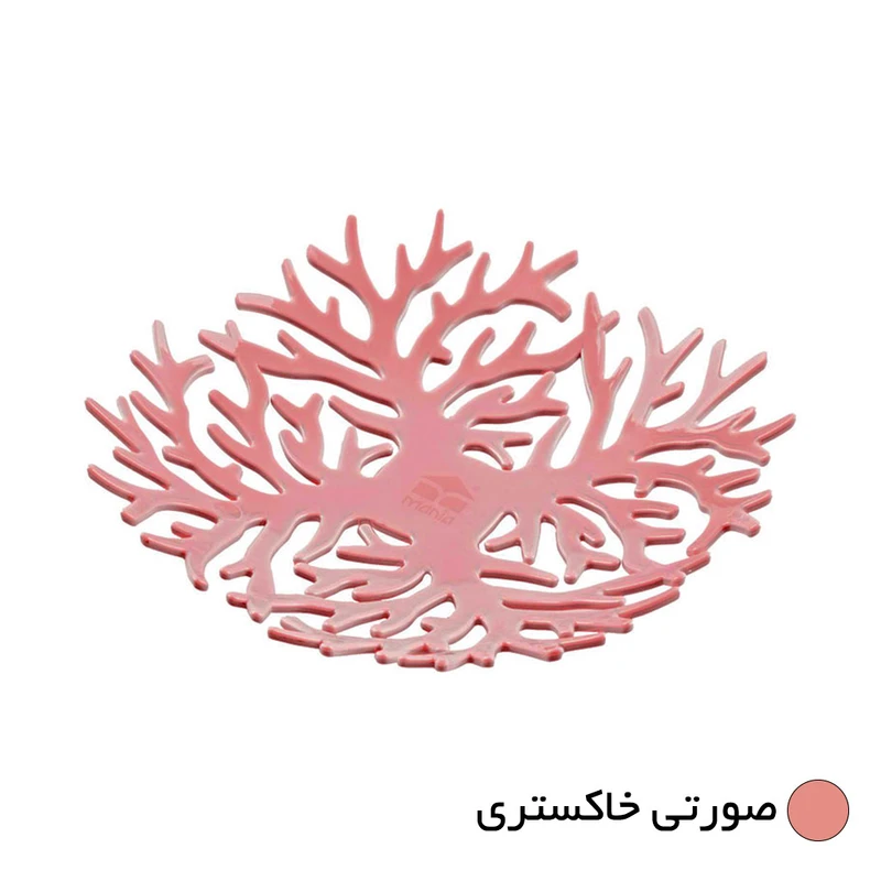 عکس شماره 2