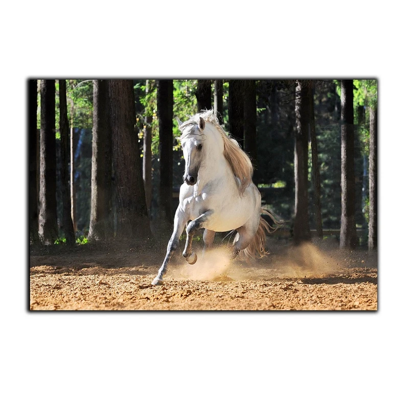 تابلو شاسی بکلیت طرح جنگل و اسب مدل SH-7529